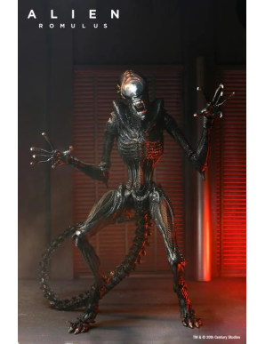 Neca Alien Romulus Scorched Alien Xenomorph