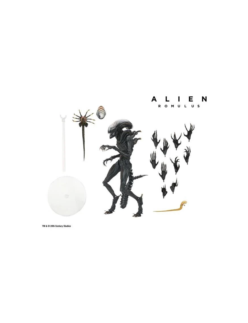 Neca Alien Romulus Scorched Alien Xenomorph Neca Alien Romulus Scorched Alien Xenomorph