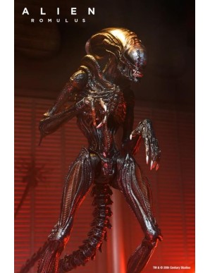Neca Alien Romulus Scorched Alien Xenomorph