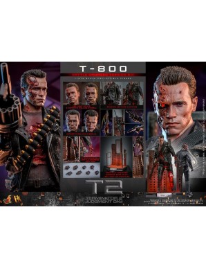 Hot Toys Movie Masterpiece Terminator 2 Judgement Day T-800 Battle Damaged Version 2.0 1/6 Scale Collectible Figure