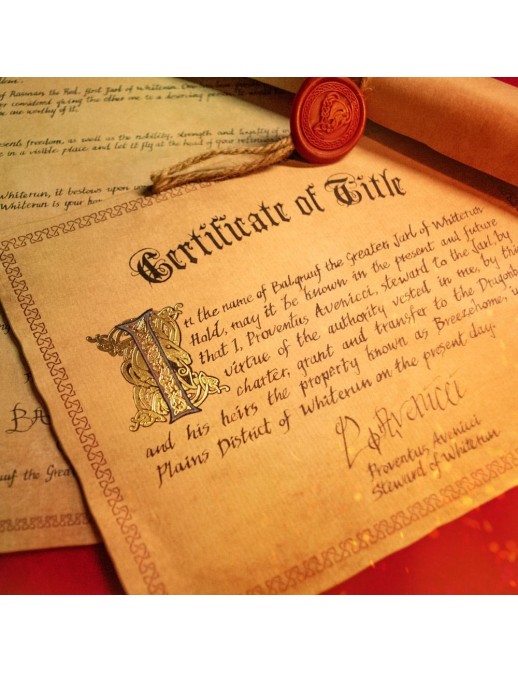 Doctor Collector The Elder Scrolls V Skyrim Honorary Citizenship Chest Whiterun Gift Box