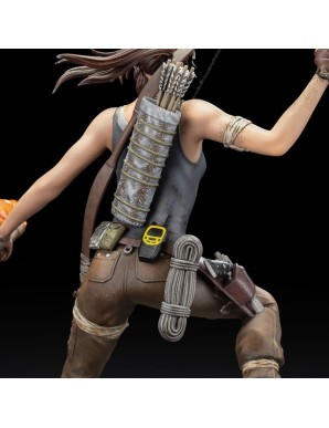 Dark Horse Tomb Raider Lara Croft Survivor Era