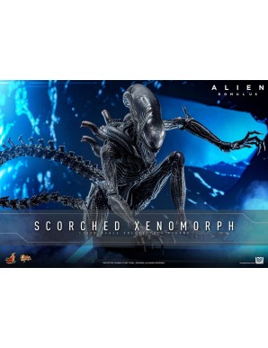 Hot Toys Movie Masterpiece Alien Romulus Scorched Xenomorph 1/6 Scale Collectible Figure