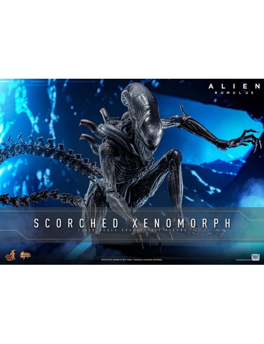 Hot Toys Movie Masterpiece Alien Romulus Scorched Xenomorph 1/6 Scale Collectible Figure