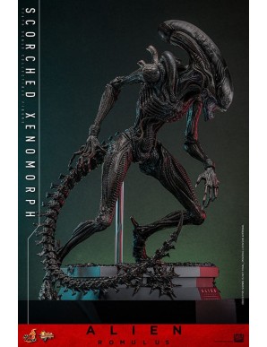 Hot Toys Movie Masterpiece Alien Romulus Scorched Xenomorph 1/6 Scale Collectible Figure