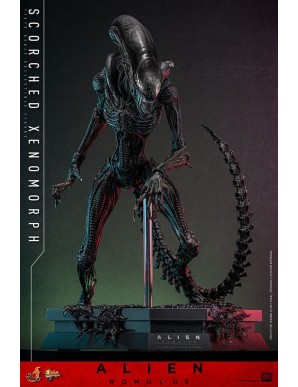 Hot Toys Movie Masterpiece Alien Romulus Scorched Xenomorph 1/6 Scale Collectible Figure
