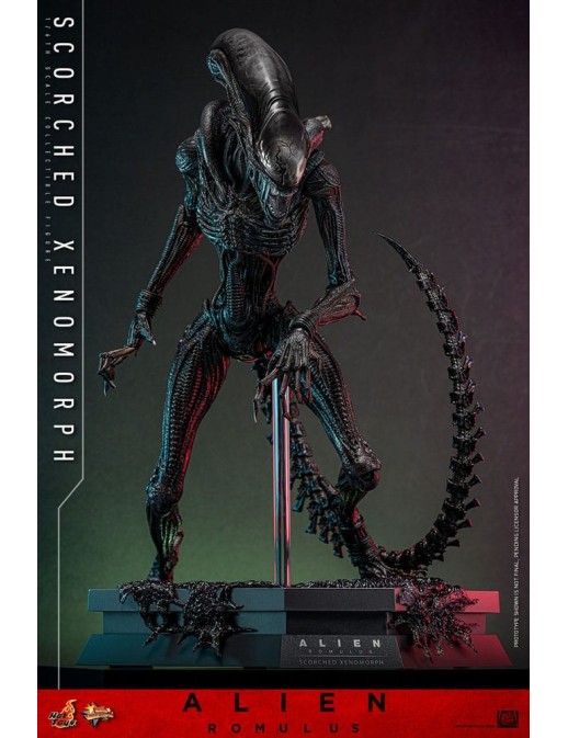 Hot Toys Movie Masterpiece Alien Romulus Scorched Xenomorph 1/6 Scale Collectible Figure