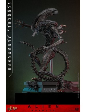 Hot Toys Movie Masterpiece Alien Romulus Scorched Xenomorph 1/6 Scale Collectible Figure