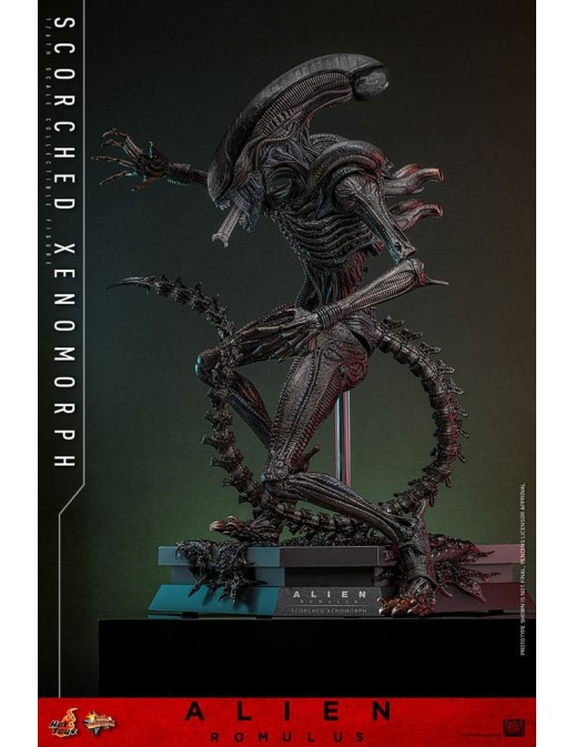 Hot Toys Movie Masterpiece Alien Romulus Scorched Xenomorph 1/6 Scale Collectible Figure