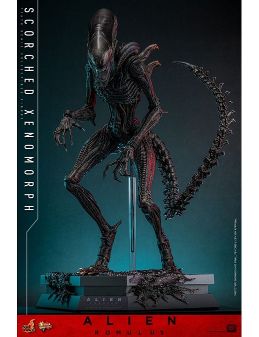 Hot Toys Movie Masterpiece Alien Romulus Scorched Xenomorph 1/6 Scale Collectible Figure