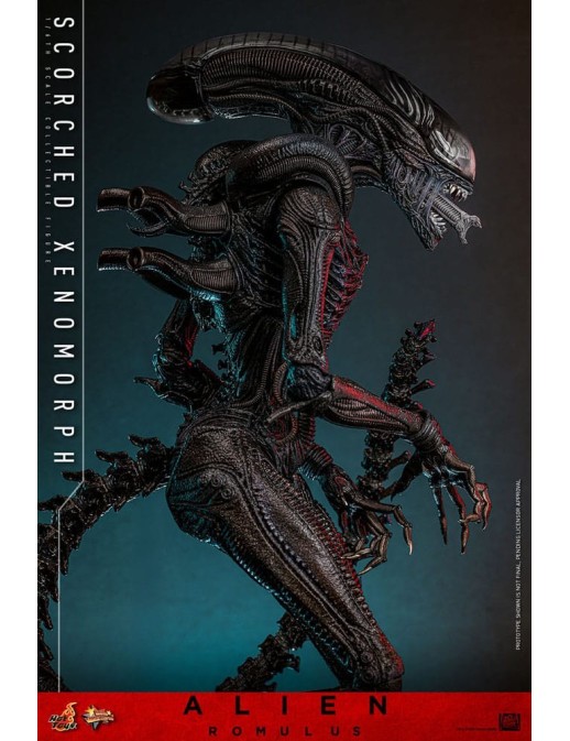 Hot Toys Movie Masterpiece Alien Romulus Scorched Xenomorph 1/6 Scale Collectible Figure