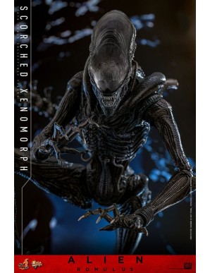Hot Toys Movie Masterpiece Alien Romulus Scorched Xenomorph 1/6 Scale Collectible Figure