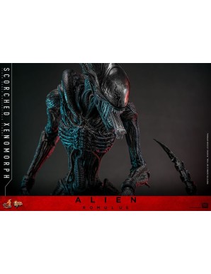 Hot Toys Movie Masterpiece Alien Romulus Scorched Xenomorph 1/6 Scale Collectible Figure