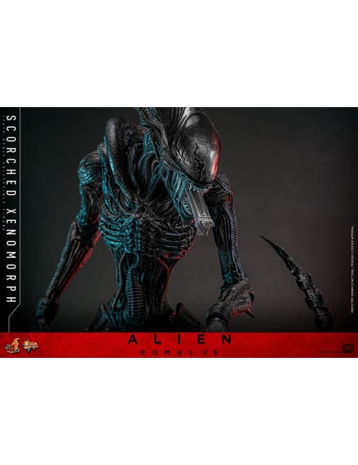 Hot Toys Movie Masterpiece Alien Romulus Scorched Xenomorph 1/6 Scale Collectible Figure
