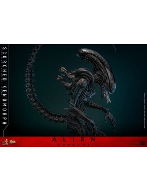 Hot Toys Movie Masterpiece Alien Romulus Scorched Xenomorph 1/6 Scale Collectible Figure