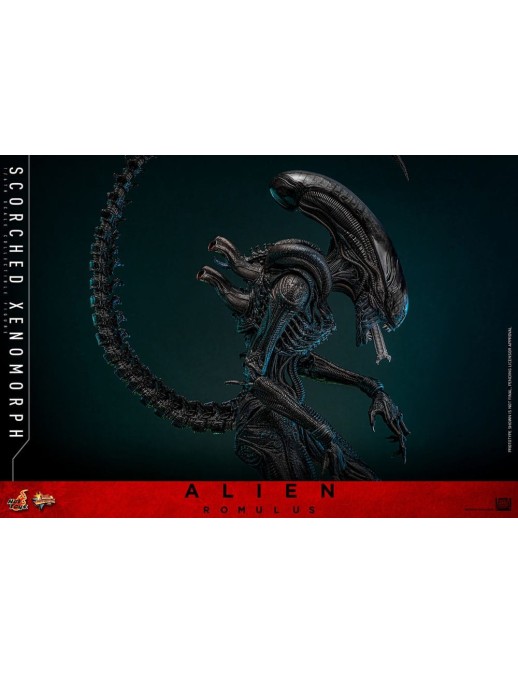 Hot Toys Movie Masterpiece Alien Romulus Scorched Xenomorph 1/6 Scale Collectible Figure