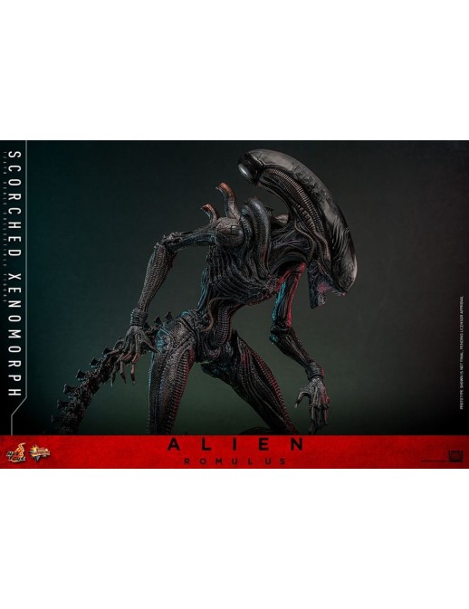 Hot Toys Movie Masterpiece Alien Romulus Scorched Xenomorph 1/6 Scale Collectible Figure