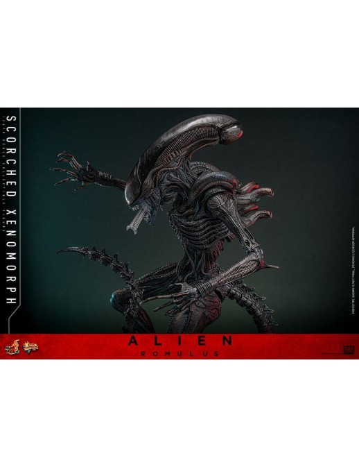 Hot Toys Movie Masterpiece Alien Romulus Scorched Xenomorph 1/6 Scale Collectible Figure