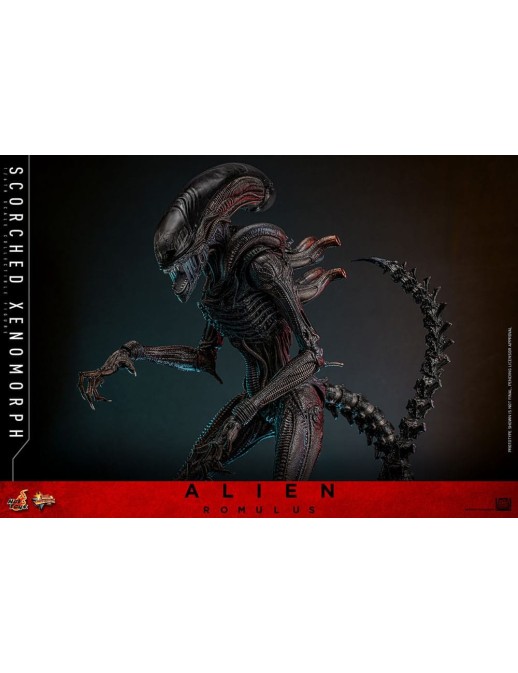Hot Toys Movie Masterpiece Alien Romulus Scorched Xenomorph 1/6 Scale Collectible Figure