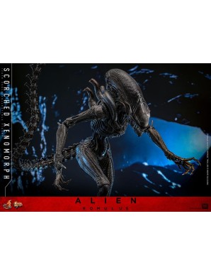 Hot Toys Movie Masterpiece Alien Romulus Scorched Xenomorph 1/6 Scale Collectible Figure