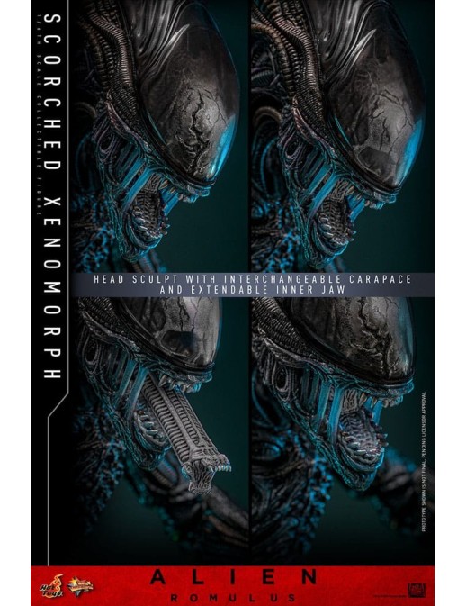 Hot Toys Movie Masterpiece Alien Romulus Scorched Xenomorph 1/6 Scale Collectible Figure