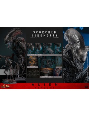 Hot Toys Movie Masterpiece Alien Romulus Scorched Xenomorph 1/6 Scale Collectible Figure