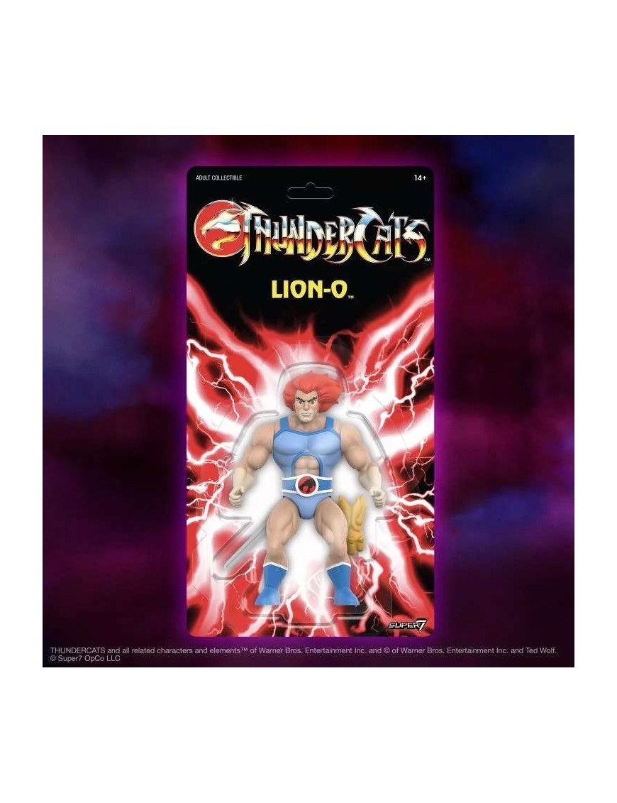 lionctoy lionchen 初誕者 lionctoy lionchen 初誕者