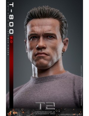 Hot Toys Movie Masterpiece Terminator 2 Judgement Day T-800 2.0 1/6 Scale Collectible Figure
