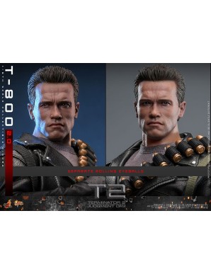Hot Toys Movie Masterpiece Terminator 2 Judgement Day T-800 2.0 1/6 Scale Collectible Figure