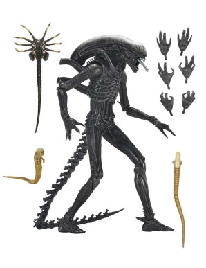 Neca Alien Romulus Scorched Alien Xenomorph XX121