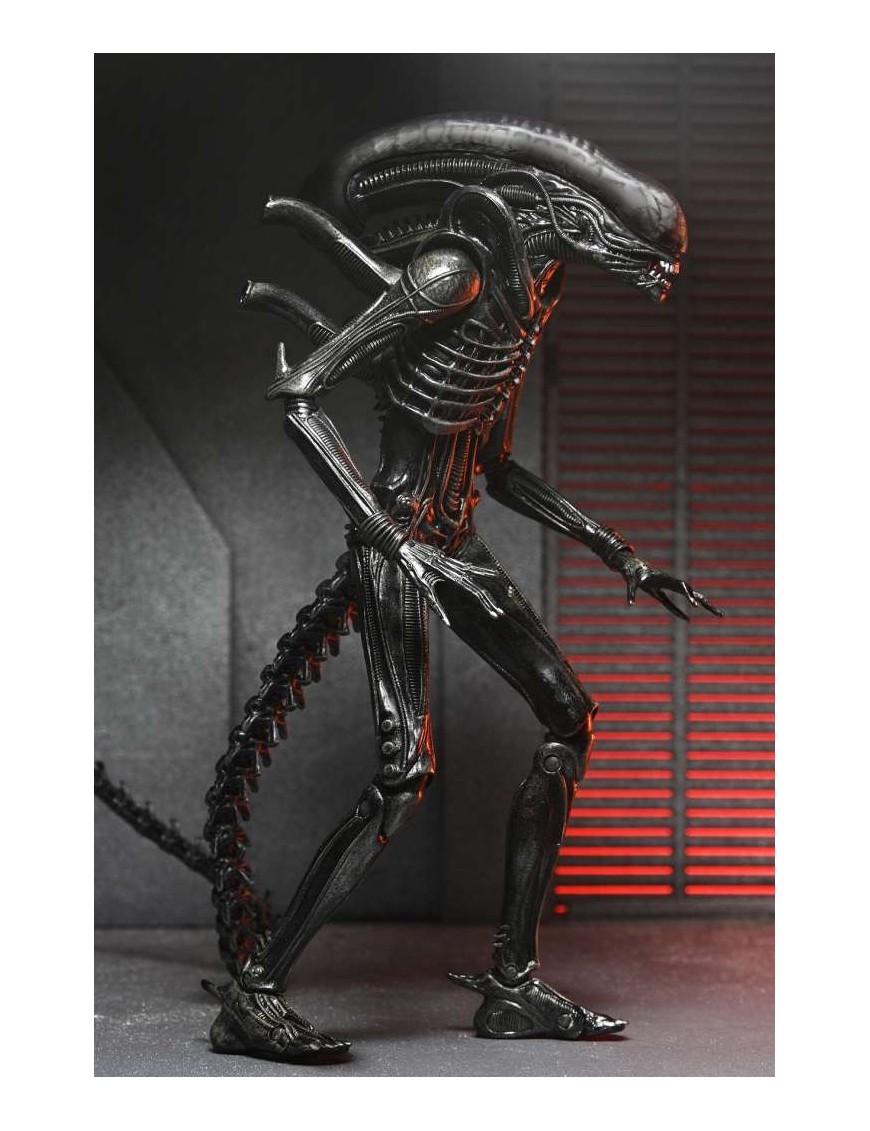 SF・ファンタジー・ホラー NECA Alien: Romulus Scorched Xenomorph Alien: Romulus Bundle – NECA
