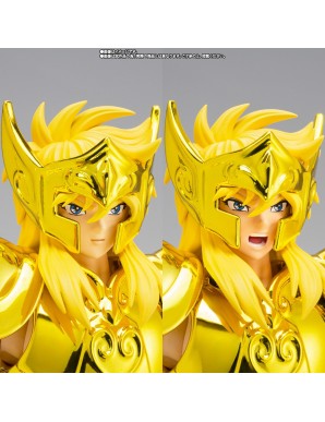 Bandai Saint Seiya Myth Cloth EX Gold Saint Aquarius Hyoga Successor of the Golden Cloth