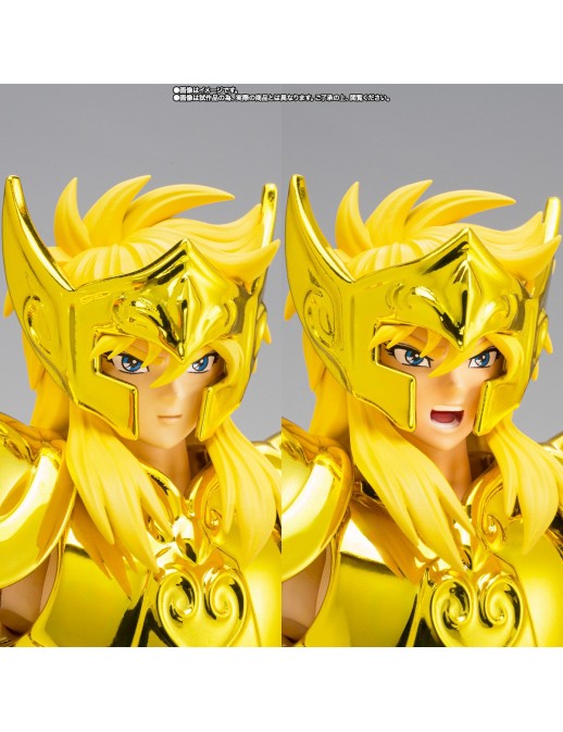 Bandai Saint Seiya Myth Cloth EX Gold Saint Aquarius Hyoga Successor of the Golden Cloth