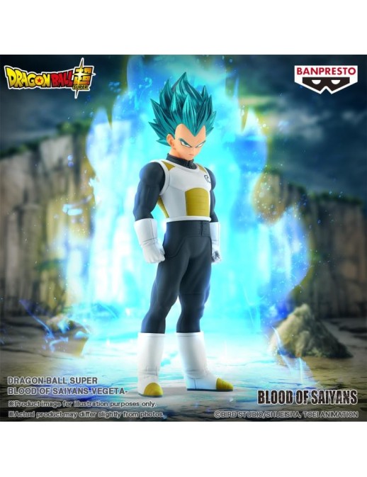 Banpresto Dragon Ball Blood of Saiyans Vegeta Super Saiyan God Super Saiyan