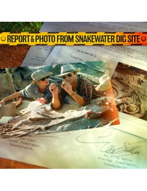 Doctor Collector Jurassic Park The Lost Memories