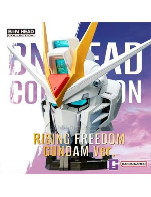 Bandai BN Head Collection Vol.4 Mobile Suit Gundam STTS-909 Rising Freedom Gundam Head Sculpt