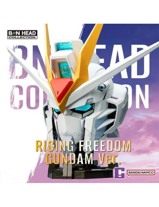 Bandai BN Head Collection Vol.4 Mobile Suit Gundam STTS-909 Rising Freedom Gundam Head Sculpt