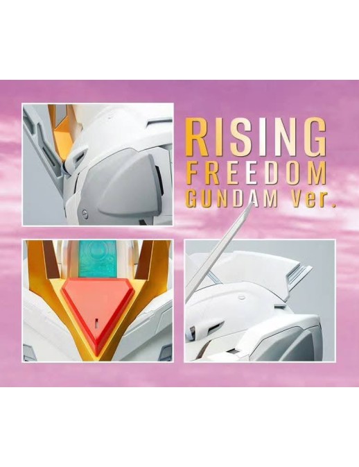 Bandai BN Head Collection Vol.4 Mobile Suit Gundam STTS-909 Rising Freedom Gundam Head Sculpt