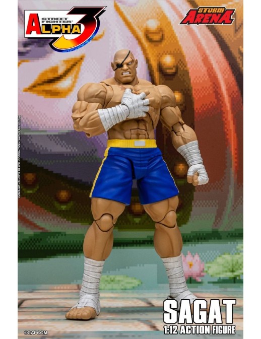 Storm Collectibles Storm Arena Street Fighter Alpha 3 Sagat