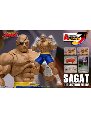 Storm Collectibles Storm Arena Street Fighter Alpha 3 Sagat