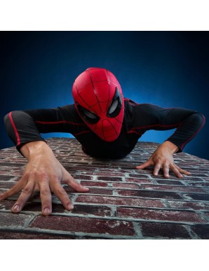 Hasbro Marvel Legends Spider-Man: Homecoming Spider-Man Wearable Electronic Expressive Mask