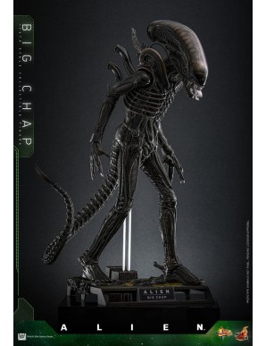 Hot Toys Television Masterpiece Alien Big Chap 1/6 Scale Collectible Figure