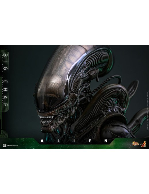 Hot Toys Movie Masterpiece Alien Big Chap 1/6 Scale Collectible Figure