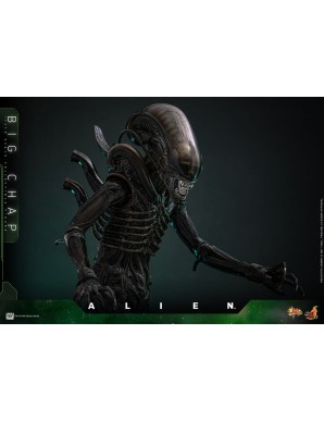 Hot Toys Movie Masterpiece Alien Big Chap 1/6 Scale Collectible Figure