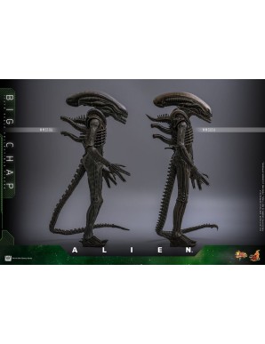 Hot Toys Movie Masterpiece Alien Big Chap 1/6 Scale Collectible Figure