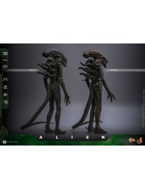 Hot Toys Movie Masterpiece Alien Big Chap 1/6 Scale Collectible Figure