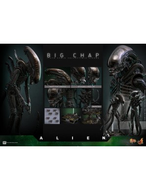 Hot Toys Television Masterpiece Alien Big Chap 1/6 Scale Collectible Figure