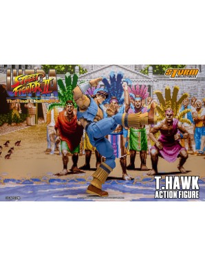 Storm Collectibles Storm Arena Ultra Street Fighter II: The Final Challengers T. Hawk