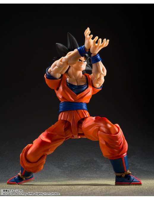 Bandai S.H. Figuarts Dragon Ball Z Son Goku The Kind-Hearted Saiyan