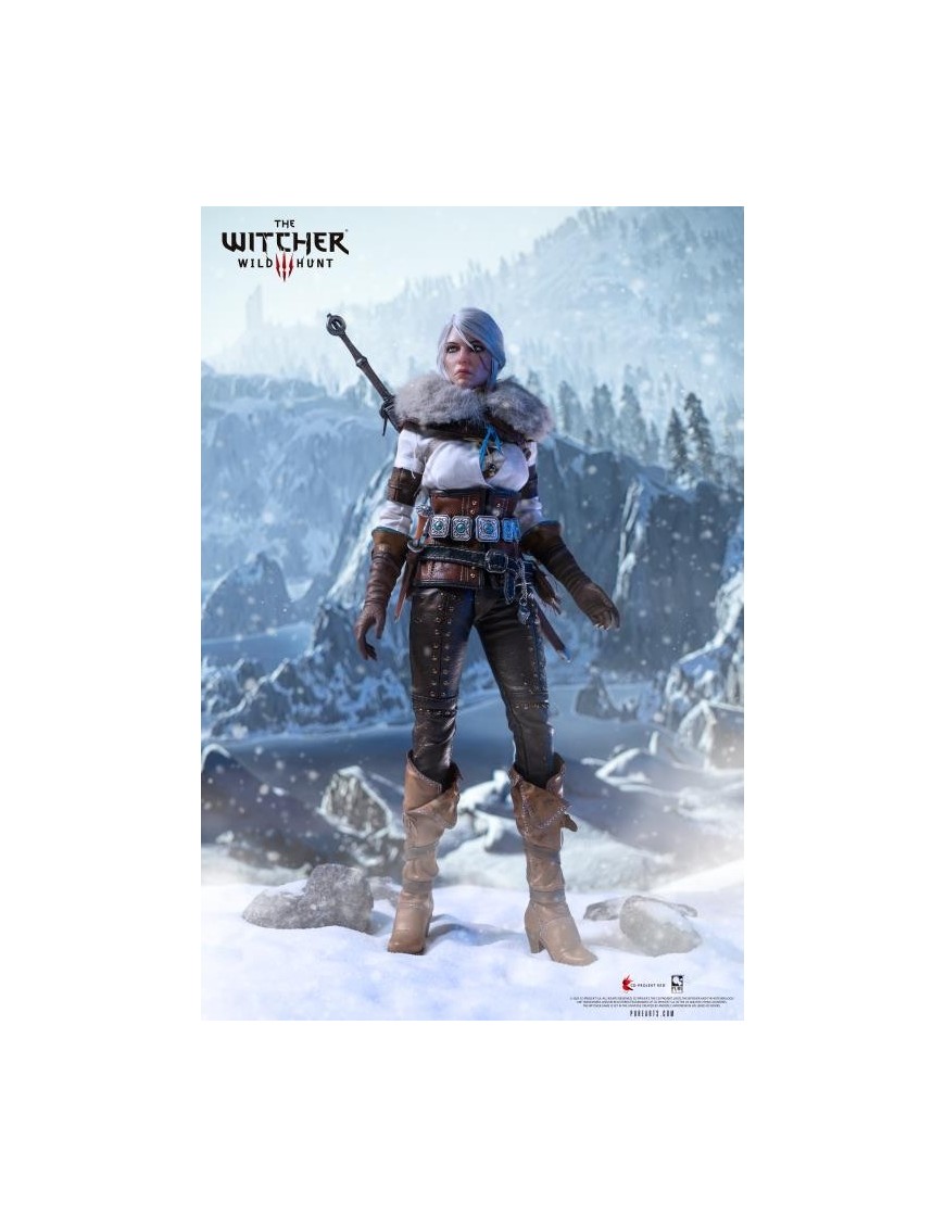 Pure Arts The Witcher 3: Wild Hunt Ciri 1/6 Scale Action Figure Pure Arts The Witcher 3: Wild Hunt Ciri 1/6 Scale Action Figure